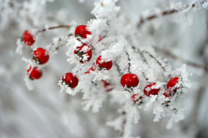 Baby, it's cold outside Baby, it's cold outside